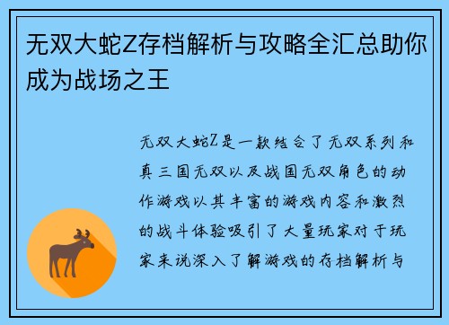 无双大蛇Z存档解析与攻略全汇总助你成为战场之王